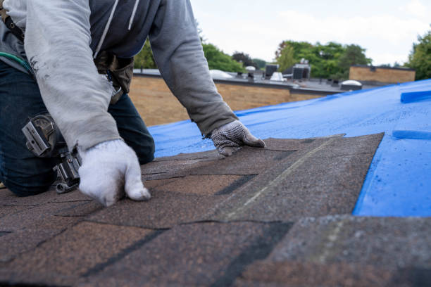 Best Roof Repair Specialists  in Cleves, OH