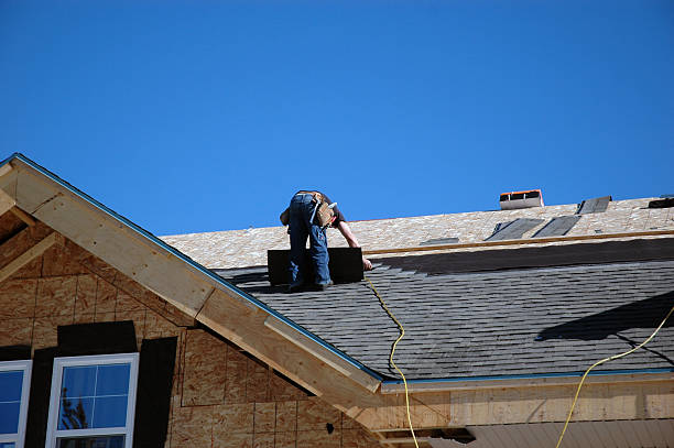 Best Roof Gutter Cleaning  in Cleves, OH