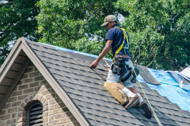 Best Gutter Installation and Roofing  in Cleves, OH